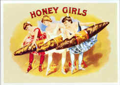 honey girls.jpg (25954 bytes)